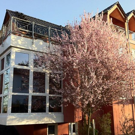 Gaestehaus Kirschgarten Bodenheim Esterno foto